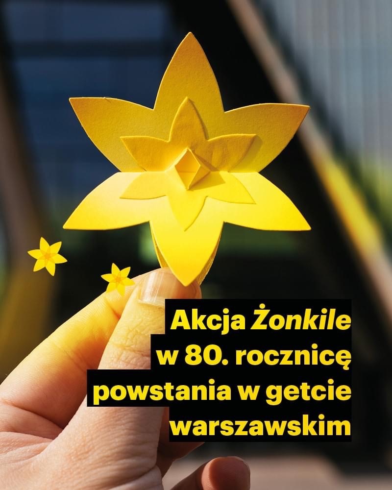 Szkoła Polska im. Marii Skłodowskiej-Curie przy Ambasadzie RP w Kopenhadze aktywnie włącza się do akcji Żonkile 2023!